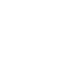 Volleybal Festival